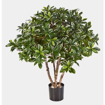 Artificial Spindle tree RIKU, natural stems, green-white, 30"/75cm, Ø 30"/75cm Artificial Spindle tree RIKU, natural stems, green-white, 30"/75cm, Ø 30"/75cm