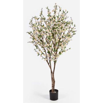 Silk Cherry blossom tree ZADAR, real stems, white, 5ft/140cm Silk Cherry blossom tree ZADAR, real stems, white, 5ft/140cm
