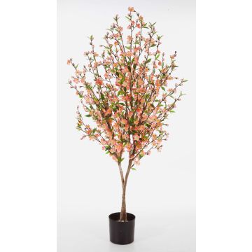Silk Cherry blossom tree ZADAR, real stems, light pink, 6ft/170cm Silk Cherry blossom tree ZADAR, real stems, light pink, 6ft/170cm