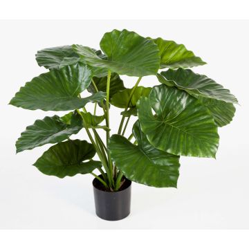 Fake Alocasia Calidora SALONI, green, 30"/75cm