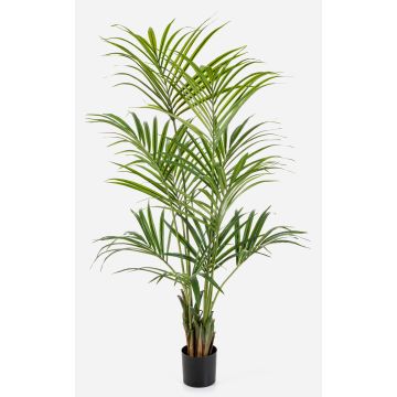 Artificial Kentia palm OMAYRA, 6ft/170cm