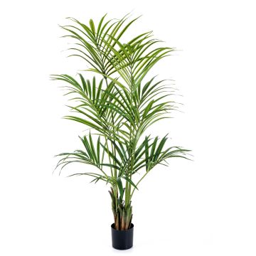 Artificial Kentia palm OMAYRA, 7ft/200cm