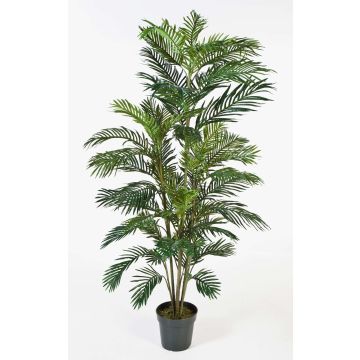 Fake Areca palm JENNICA, 6ft/180cm Fake Areca palm JENNICA, 6ft/180cm