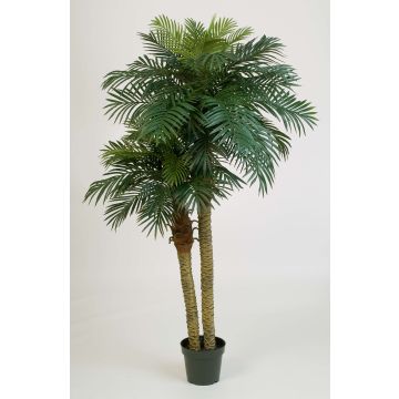 Fake Phoenix palm CAMILA, 7ft/210cm Fake Phoenix palm CAMILA, 7ft/210cm