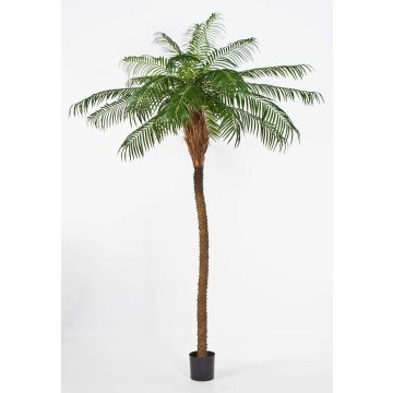 Artificial Phoenix palm ELIZABETH, 7ft/225cm Artificial Phoenix palm ELIZABETH, 7ft/225cm