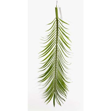Artificial phoenix palm frond CATY, 18 pieces, 5ft/165cm