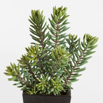 Artificial sedum JESPER in decorative pot, green, 16"/40cm Artificial sedum JESPER in decorative pot, green, 16"/40cm