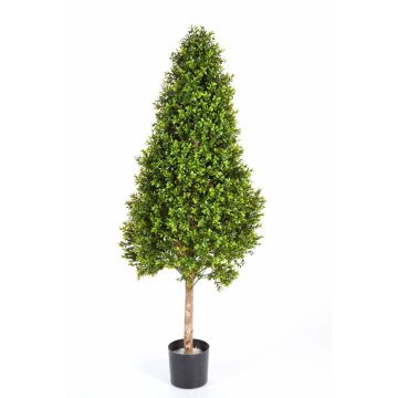 Artificial Boxwood pyramid topiary TOM, natural stem, 3ft/105cm Artificial Boxwood pyramid topiary TOM, natural stem, 3ft/105cm