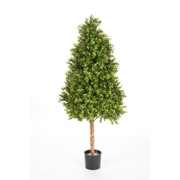 Artificial Boxwood pyramid topiary TOM, natural stem, 5ft/140cm Artificial Boxwood pyramid topiary TOM, natural stem, 5ft/140cm