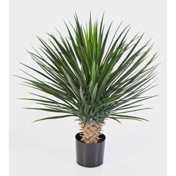 Artificial bushy Yucca rostrata RAFFAELA, 31"/80cm