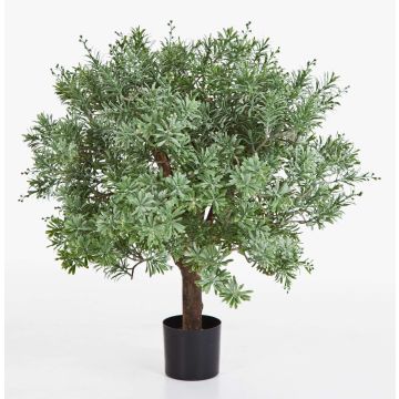 Artificial Crossostephium KATANA, real stem, green, 28"/70cm Artificial Crossostephium KATANA, real stem, green, 28"/70cm