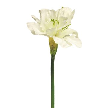 Artificial amaryllis HEJIA, cream, 24"/60cm