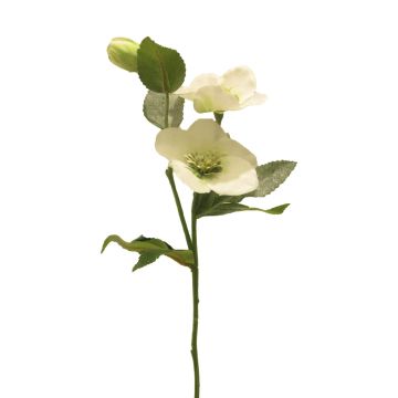 Decorative Christmas rose branch SHIEN, frosty, white, 22"/55cm