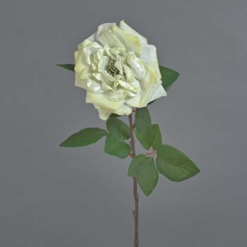 Velvet rose YUFAN, cream, 24"/60cm