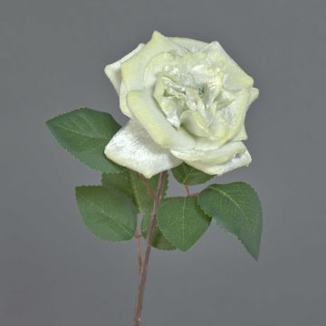 Velvet rose YUFAN, cream, 18"/45cm