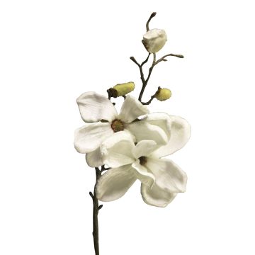 Velvet magnolia YUNFAN, cream, 18"/45cm Velvet magnolia YUNFAN, cream, 18"/45cm