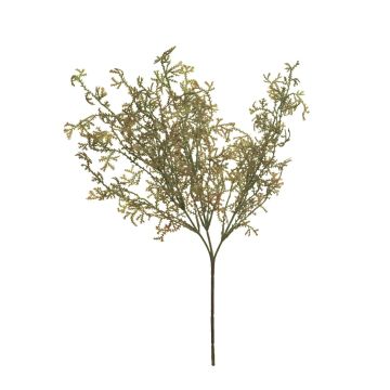 Decorative Asparagus acutifolius branch CHENMU, green-red, 20"/50cm