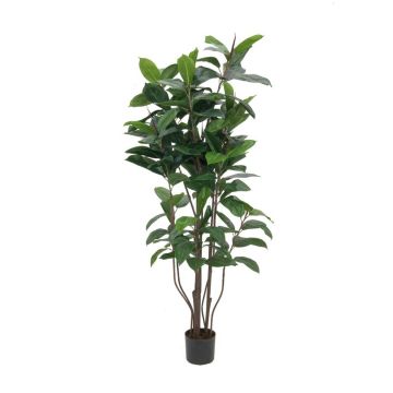 Artificial Rubber tree VICA, artificial stems, green, 5ft/150cm Artificial Rubber tree VICA, artificial stems, green, 5ft/150cm