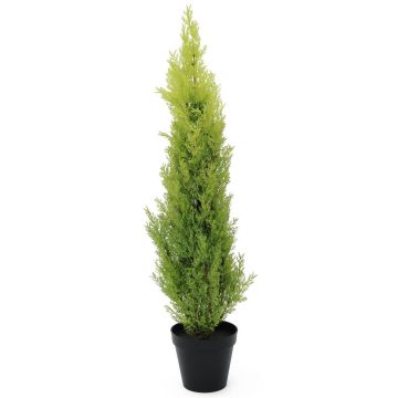Plastic Cypress MINNA, in planter, UV-resistant, light green, 3ft/90cm Plastic Cypress MINNA, in planter, UV-resistant, light green, 3ft/90cm
