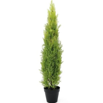 Plastic Cypress MINNA, in planter, UV-resistant, light green, 4ft/120cm Plastic Cypress MINNA, in planter, UV-resistant, light green, 4ft/120cm