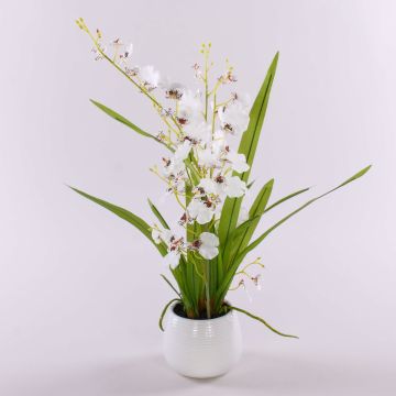 Fake orchid oncidium SHANIA ceramic pot, white-brown, 20"/50cm Ø1.2"-1.6"/3-4cm