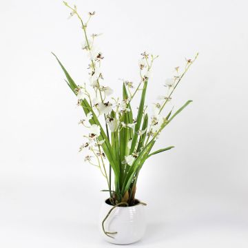 Fake orchid oncidium SHANIA ceramic pot, white-brown, 20"/50cm Ø1.2"-1.6"/3-4cm Fake orchid oncidium SHANIA ceramic pot, white-brown, 20"/50cm Ø1.2"-1.6"/3-4cm