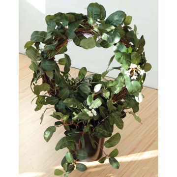 Artificial stephanotis SERRA, white, 26"/65cm, Ø20"/50cm