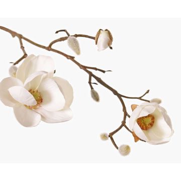 Fake magnolia KOSTAS, white, 22"/55cm, Ø2.4"-3.1"/6-8cm Fake magnolia KOSTAS, white, 22"/55cm, Ø2.4"-3.1"/6-8cm
