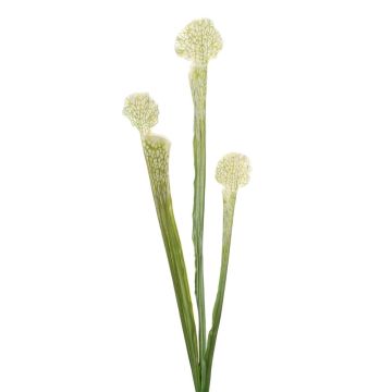 Artificial Sarracenia SIMANA succulent on a stem, white-green, 26"/65cm