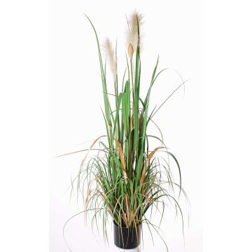 Silk reed grass EYOTA with panicles, green-brown, 4ft/120cm Silk reed grass EYOTA with panicles, green-brown, 4ft/120cm