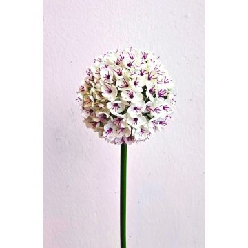Artificial allium LOKJAN, white-purple, 70cm