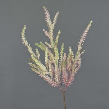 Plastic astilbe QIMEI, fuchsia-green, 28"/70cm