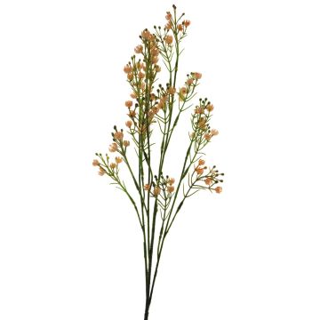 Decorative gypsophila LINFENG, peach, 28"/70cm