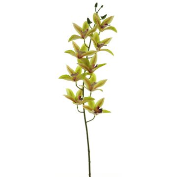 Decorative cymbidium orchid branch YAMEI, green-pink, 31"/80cm Decorative cymbidium orchid branch YAMEI, green-pink, 31"/80cm