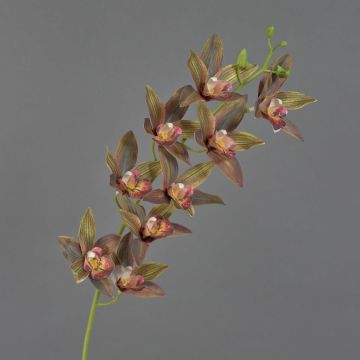 Decorative cymbidium orchid branch YAMEI, dark red-green, 31"/80cm Decorative cymbidium orchid branch YAMEI, dark red-green, 31"/80cm