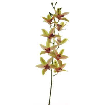 Decorative cymbidium orchid branch YAMEI, pink-green, 31"/80cm Decorative cymbidium orchid branch YAMEI, pink-green, 31"/80cm
