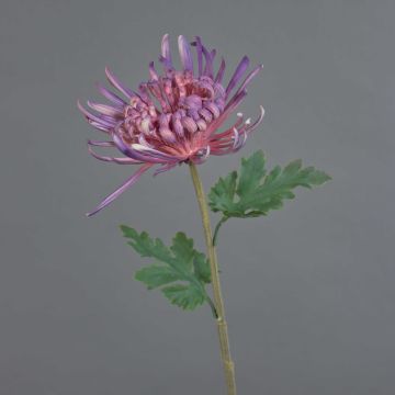 Decorative chrysanthemum YASULI, purple, 28"/70cm Decorative chrysanthemum YASULI, purple, 28"/70cm