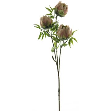 Artificial protea branch LIUJIA, pink-green, 31"/75cm Artificial protea branch LIUJIA, pink-green, 31"/75cm