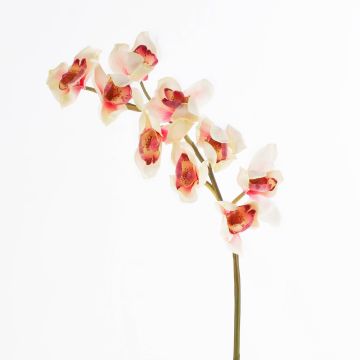 Fake sprig of orchid cymbidium OKSANA, cream-pink, 31"/80cm, Ø2.6"/6,5cm Fake sprig of orchid cymbidium OKSANA, cream-pink, 31"/80cm, Ø2.6"/6,5cm