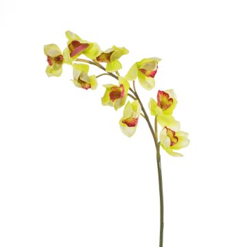 Fake sprig of orchid cymbidium OKSANA, yellow-green, 31"/80cm, Ø2.6"/6,5cm Fake sprig of orchid cymbidium OKSANA, yellow-green, 31"/80cm, Ø2.6"/6,5cm