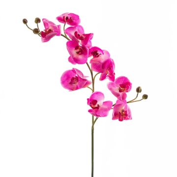 Fake sprig of orchid phalaenopsis STINA, pink, 3ft/90cm, Ø2.8"-3.5"/7-9cm Fake sprig of orchid phalaenopsis STINA, pink, 3ft/90cm, Ø2.8"-3.5"/7-9cm