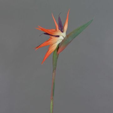 Fake strelitzia ZAMIRA, orange-violet, 3ft/95cm, Ø6.3"x12"/16x30cm