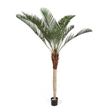 Fake Phoenix palm ELITON, 7ft/210cm Fake Phoenix palm ELITON, 7ft/210cm