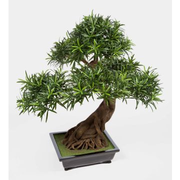 Artificial Bonsai Podocarpus MASAO, aerial roots, ceramic bowl, 33"/85cm Artificial Bonsai Podocarpus MASAO, aerial roots, ceramic bowl, 33"/85cm