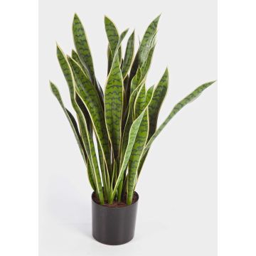 Artificial sansevieria BEYZA, green-yellow, 3ft/95cm Artificial sansevieria BEYZA, green-yellow, 3ft/95cm