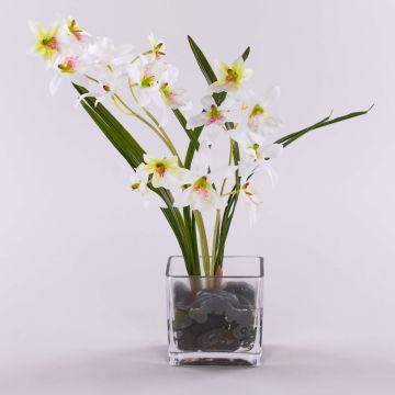 Artificial dendrobium orchid ZUZA in Decorative glass, white-green, 14"/35cm
