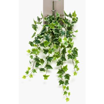 Artificial Ivy hanging plant MAJA, on spike, green-white, 28"/70cm Artificial Ivy hanging plant MAJA, on spike, green-white, 28"/70cm