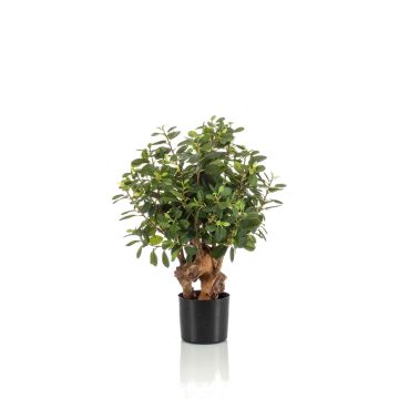 Artificial ficus retusa CUMBIA, natural trunk, in ceramic pot, green, 28"/70cm Artificial ficus retusa CUMBIA, natural trunk, in ceramic pot, green, 28"/70cm