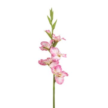 Artificial Gladiolus KIVANA, pink-white, 90cm