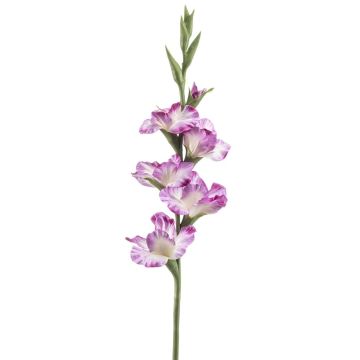 Artificial Gladiolus KIVANA, purple-white, 90cm